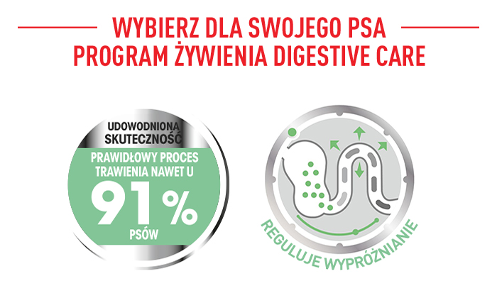 ROYAL CANIN CCN Medium Digestive Care 3 kg karma sucha dla psów dorosłych, ras średnich o wrażliwym przewodzie pokarmowym